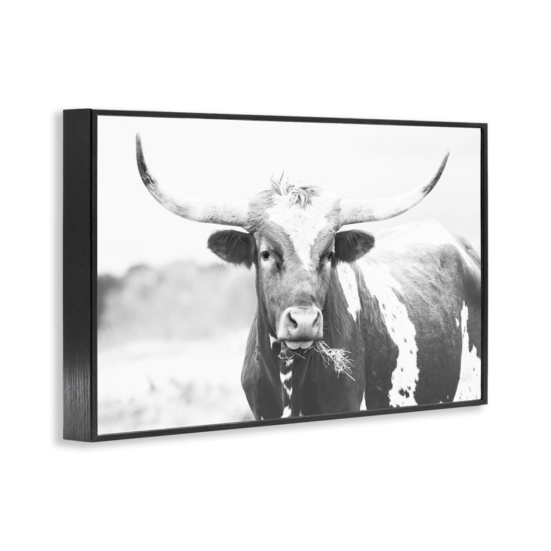 Giclée encadrée de deux tons à deux tons, design par Sissi et Seb, Giclée encadrée noir minuit, H 20 po x l 30 po