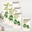 "Vintage Botanicals" - Peinture sur toile-59814989-59814990