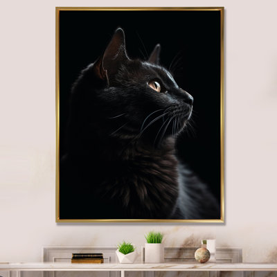Portrait d'un chat noir, photographie