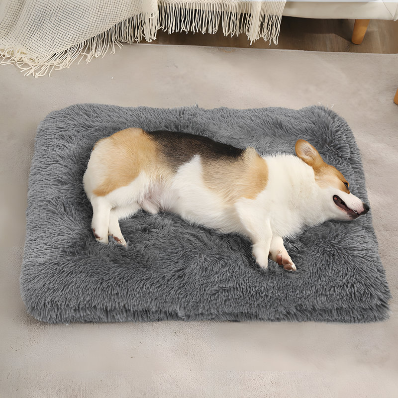 Coussin de siège pour animal de compagnie, Petit (H 5 po x l 28,5 po x P 21 po), Gris