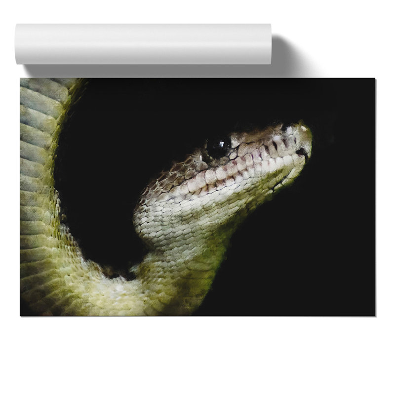 Boa Constrictor Snake Painting - Frameless Print, 21cm H x 30cm W x 0.1cm D
