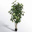 Faux Tree in Pot-73300506