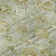 Premium Machine Washable Maag AMF1772 Global Rug
