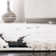 Derwent Damask Area Rug