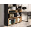 Neera 122cm H Standard Bookcase-741690938
