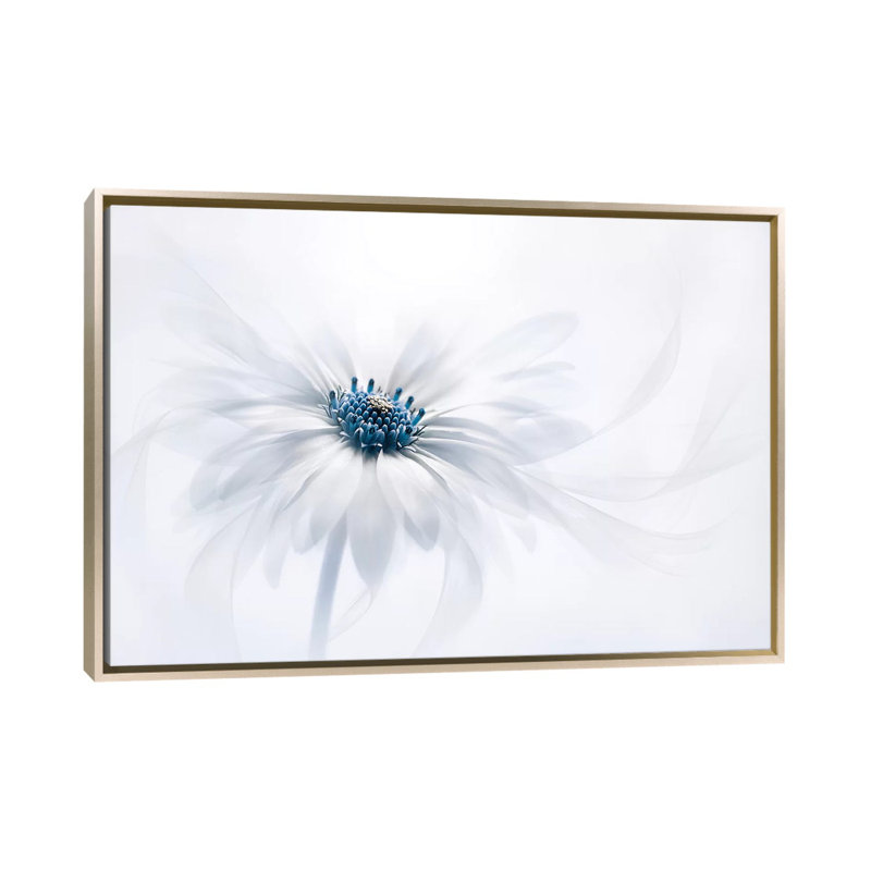 « Serenity » par Jacky Parker-reproduction de photo, Pas de tapis, H 18 po x l 26 po x P 1,5 po, Toile encadrée champagne