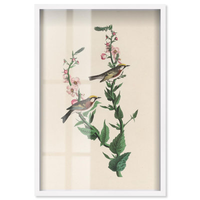 «Chestnut Streak Shadowbox», reproduction d'art botanique par Art Remedy