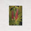 Art mural en métal «Dramatic Red Ginger» par Tim O'Toole-101669318