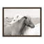 «Melanie Islandais Meadow Horses» par Danita Delimont - photographie encadrée sur papier-59846094-59846099