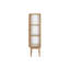 Curiosity Curio Cabinet