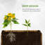 Westbury Wood Planter Box-20397590