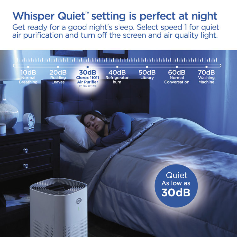 ecozy Air Purifiers for Home Large Room in Bedroom, H13 True HEPA