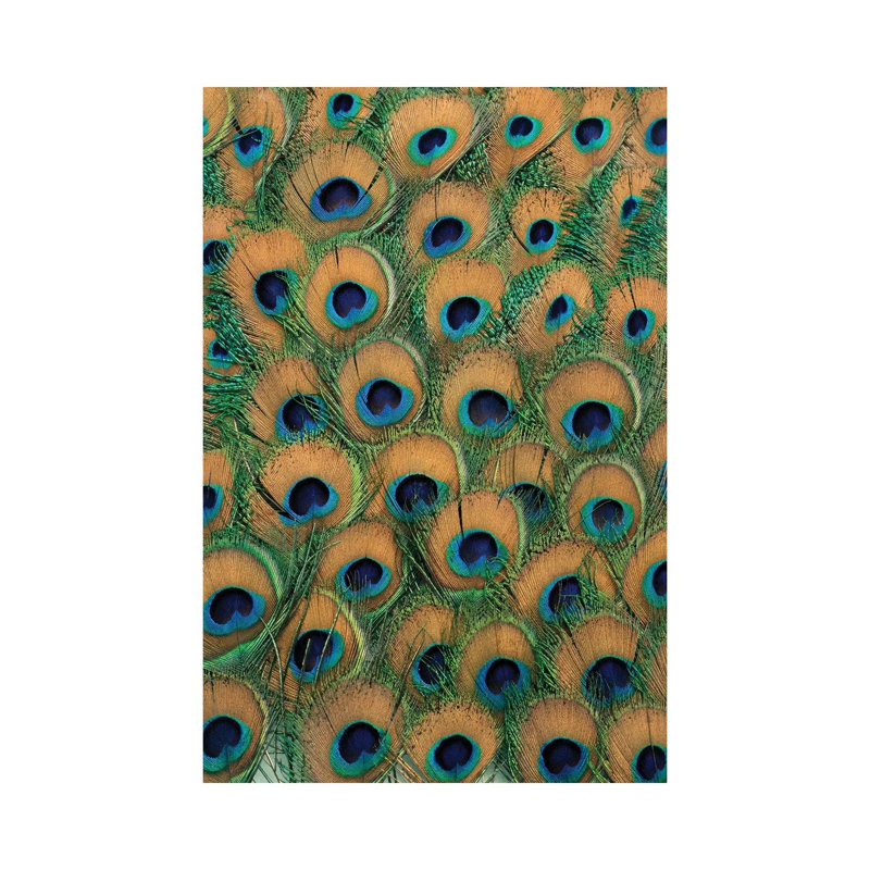 Plumes de paon - reproduction d'art mural - toile tendue, 60" x 40", Gallery Wrapped Canvas, No Frame