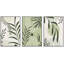 Art moderne moderne de style Mid-Century boho sauge vert tropical-100708286-100708287