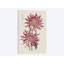 «Vibrant Mums II», reproduction d'impression sur toile tendue-29052580-72792962-72792974