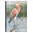 Pink Lady By Studio Arts Framed Wall Art