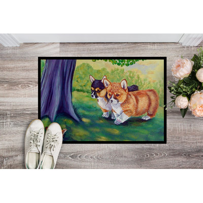 Indoor / Outdoor Rug