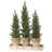 Ensemble de 3 pins artificiels en pot