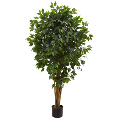 Arbre de ficus artificiel 59,5" en pot de fleurs