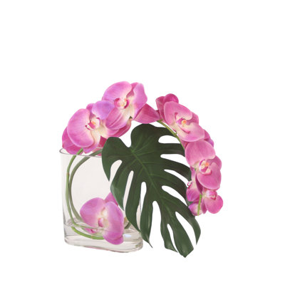 Orchidée lavande Phalaenopsis et Philo à feuilles fendues dans un vase rectangulaire