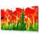 Red Tulips From Under - 3 Piece Wrapped Canvas Print