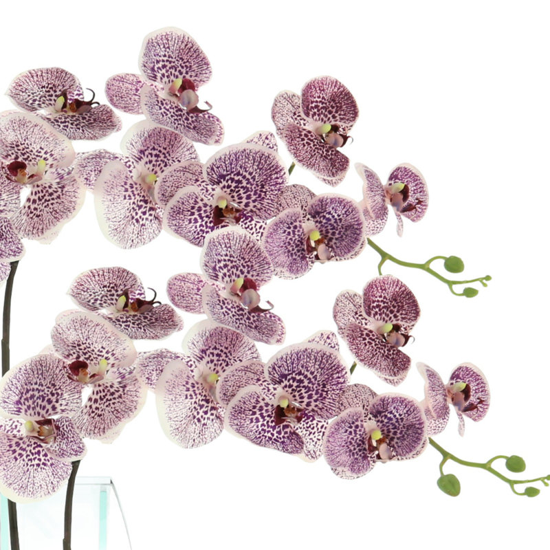 Orchids Arranged in Mirrored Glass Vase