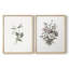 «Vintage Floral XXV», 2 pièces sur papier-682092137-682092136