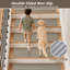Tapis d'escalier intérieur antidérapant et lavable (ensemble de 4)-130568877-130568880