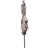 Champignon
