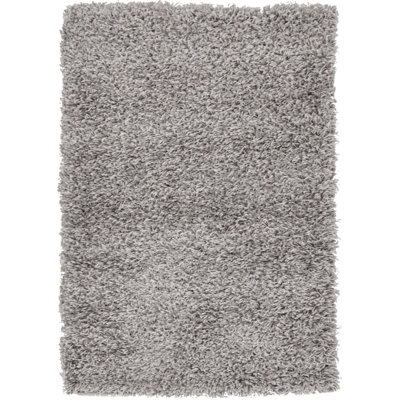 Dejuan Shag Area Rug