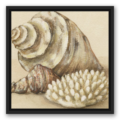 Conque et coquillages encadrés sur toile