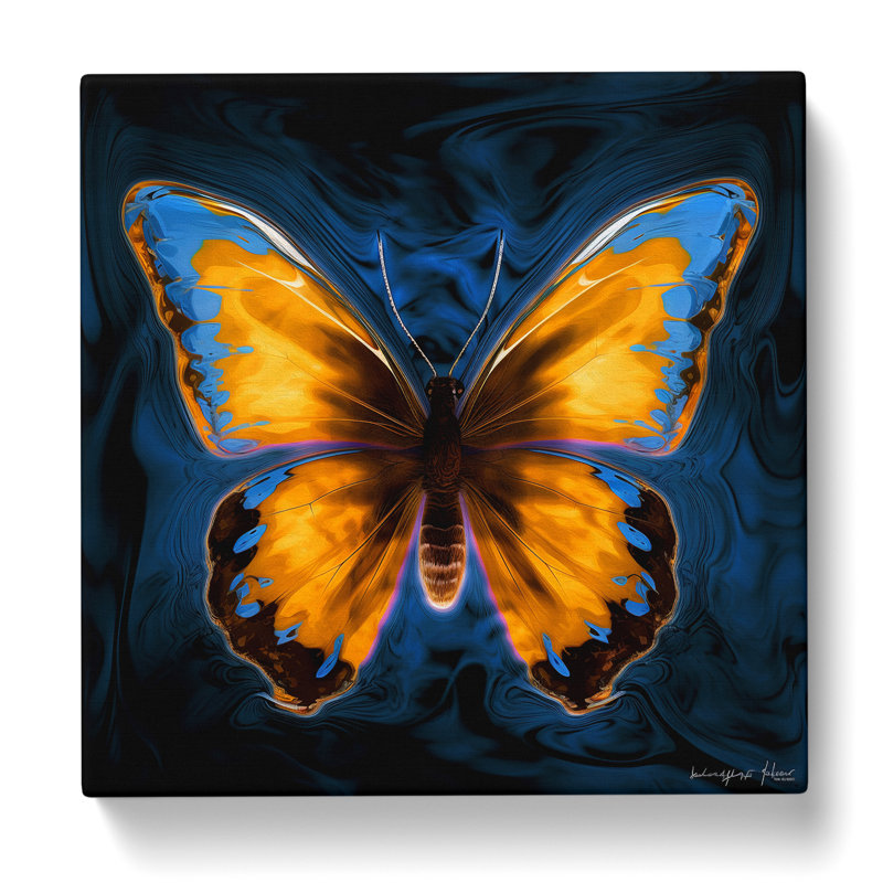 No Frame - Wrapped Canvas - Framed Print, 35cm H x 35cm W x 3cm D