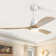 Nicola 52'' 3 - Blade Modern Ceiling Fan with Remote Control and Light Kit