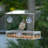 Window Tray Bird Feeder