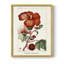 Reproduction encadrée Turpin Tropical Botanicals VII - bois massif-1317258619