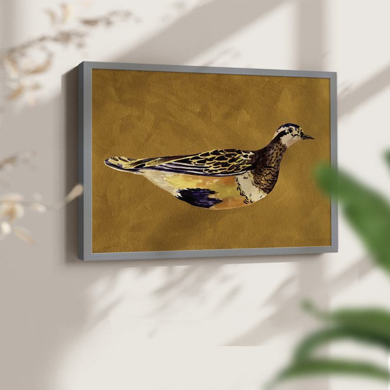 «Feathered Friend II», reproduction encadrée, Gris, H 16 po x l 20 po