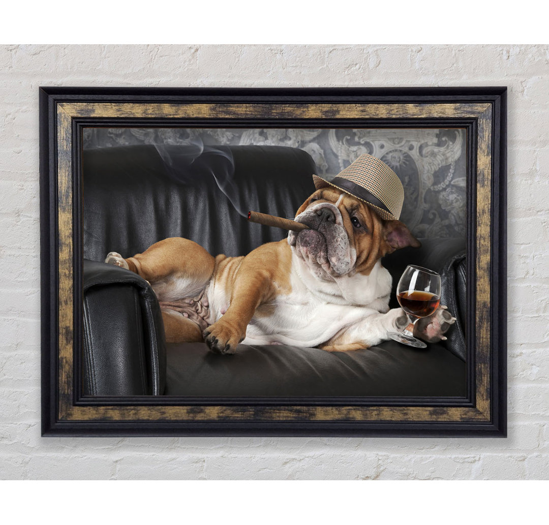 Britische Bulldogge Chillin - Einzelner Bilderrahmen Kunstdrucke