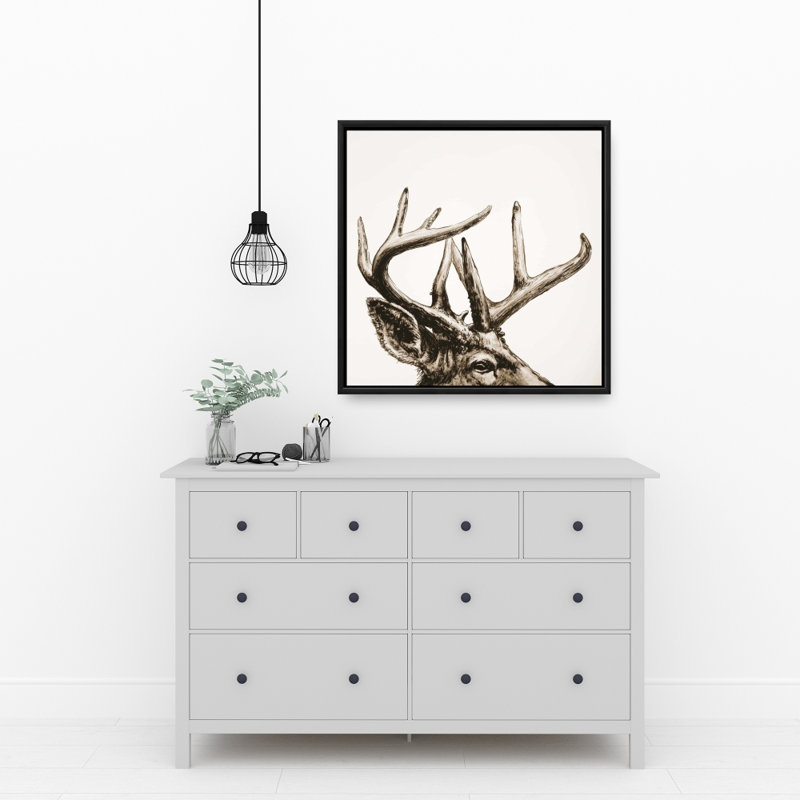 " Roe Deer Plume Sepia "