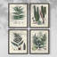 Warm Rays II Framed Print - Set of 4-1456012361-1456012406