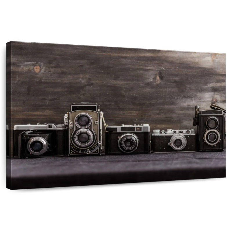 Senne Vintage Camera Collection, 24" H x 36" W