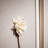 Creative Lotus Wall Decor-1650885402