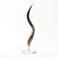 Polished Kudu Horn on Lucite Stand-1590428549