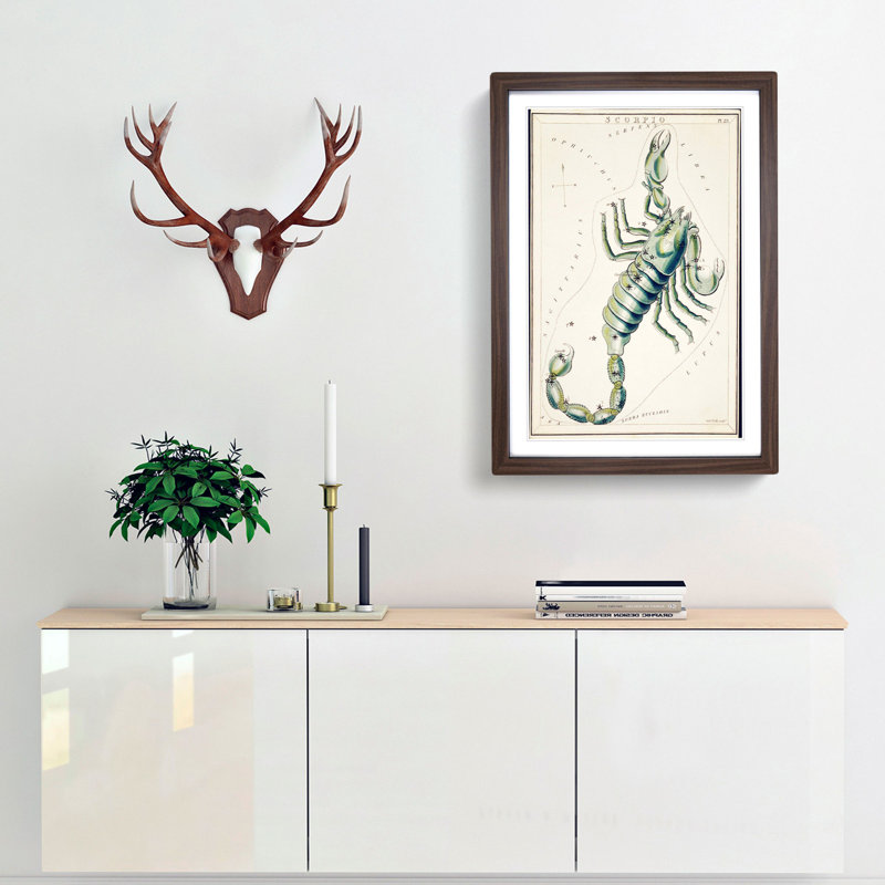 Astronomical Zodiac Chart Of The Scorpio - Single Picture Frame Painting, 63cm H x 45cm W x 2cm D, Walnut