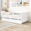 Lit de jour en bois avec couchette-2023110322