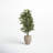 53'' Faux Ficus Tree in Earthenware Planter