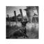« friend », reproduction de photo sur toile tendue-22373237