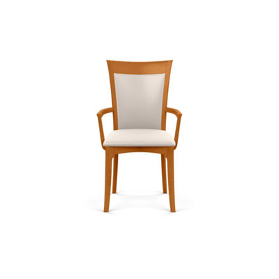 Morgan 19.25'' H Upholstered Armchair