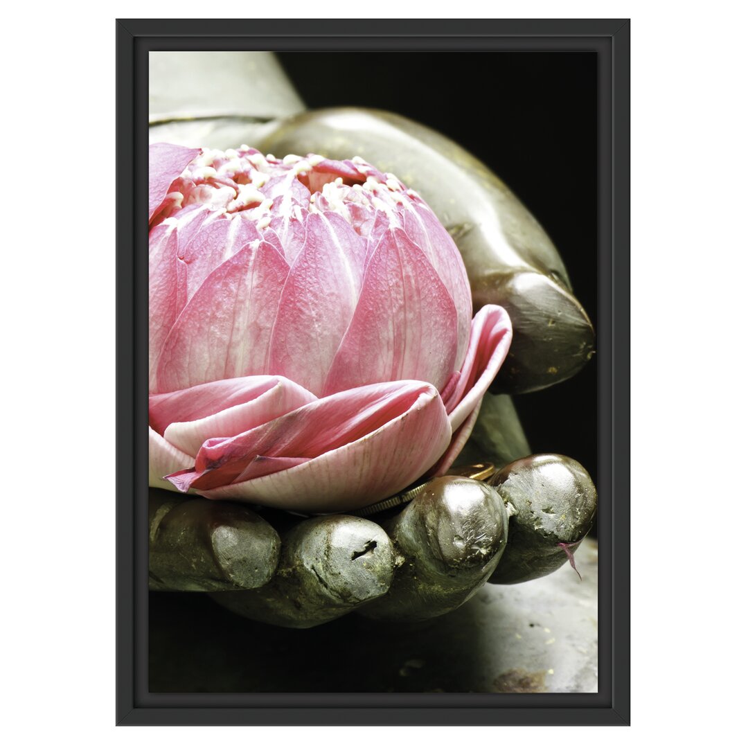 Gerahmtes Wandbild Lotus auf der Hand eines Buddhas