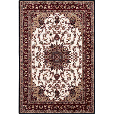 Oriental Area Rug