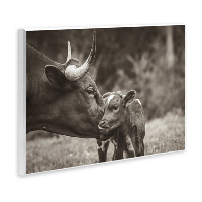 «Longhorn Kiss», art mural sur bois par Nathan Larson